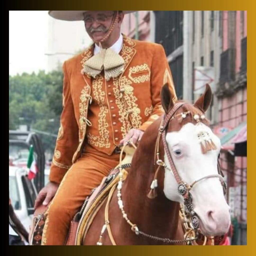 Mexican Charro Suit